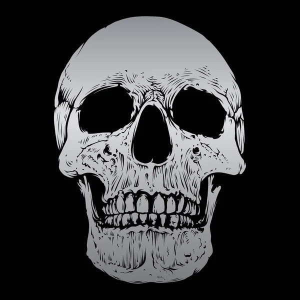Skull Vector Silver Color — Stok Vektör