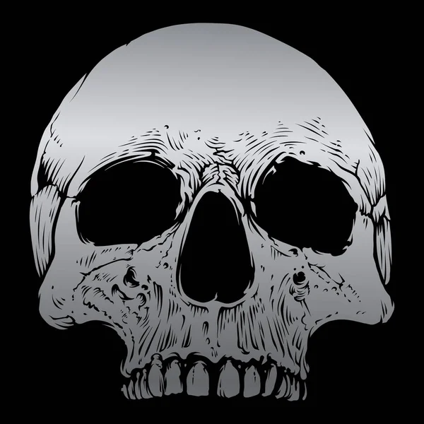 Skull Vector Silver Color — ストックベクタ