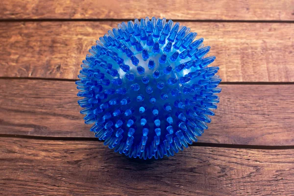 Blue anti-stress ball for puppies and adult dogs with flexible plastic spikes for dental cleaning