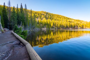 Göl ve ormanlı güzel bir manzara.