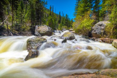Ormanda güzel bir şelale