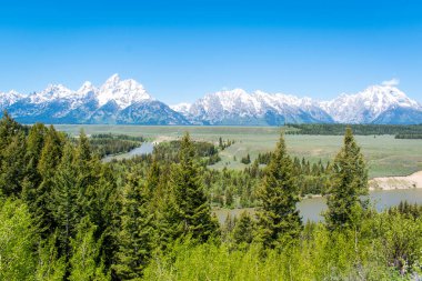 Grand Teton Milli Parkı 'ndaki mavi gökyüzü.