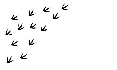 Dinozor ayak izleri. Dino izleri siyah siluet beyaz arka planda izole edilmiş. Vektör