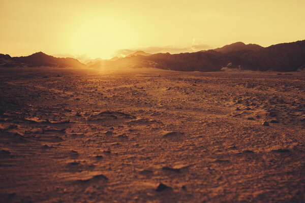 Sunset in the desert