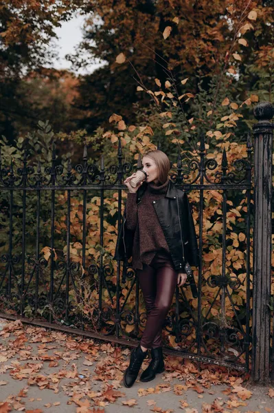 Mooi Meisje Met Blond Lang Haar Herfst Park Stockafbeelding