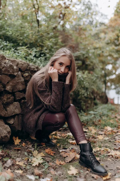 Mooi Meisje Met Blond Lang Haar Herfst Park Stockfoto