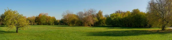 Panoramiczny Widok Zielony Trawnik Drzewa Rzędzie Rezerwat Muzealny Kolomenskoye Moskwa — Zdjęcie stockowe