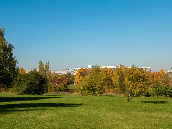 가을입니다 과밝은 나무들 과푸른 하늘을 배경으로 있습니다 Museum Reserve Kolomenskoye — 스톡 사진