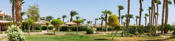 Hurghada Egipto Septiembre 2021 Vistas Panorámicas Del Territorio Del Hotel — Foto de Stock
