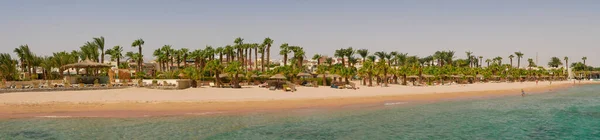Hurghada Mısır Eylül 2021 Yeşil Palmiyeli Kumlu Mısır Plajının Panoramik — Stok fotoğraf