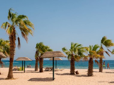 Hurghada, Mısır - 22 Eylül 2021: İnsanlar yeşil palmiye ağaçları arasında güneşlenip güneşleniyor. İnsanlar kıyı boyunca yürür ve mavi gökyüzüne karşı gök mavisi kızıl denizde yüzerler. Boşluğu kopyala.