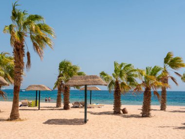 Hurghada, Mısır - 22 Eylül 2021: İnsanlar yeşil palmiye ağaçları arasında sazlanmış şemsiyelerin altında güneşlenip dinleniyorlar. İnsanlar mavi gökyüzüne karşı gök mavisi kızıl denizde yüzerler. Boşluğu kopyala.