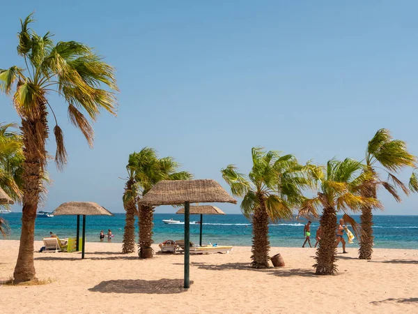 Hurghada, Mısır - 22 Eylül 2021: İnsanlar yeşil palmiye ağaçları arasında güneşlenip güneşleniyor. İnsanlar mavi gökyüzüne karşı gök mavisi kızıl denizde yüzerler. Boşluğu kopyala.