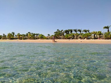 Hurghada, Mısır - 22 Eylül 2021: Kızıl Deniz 'in güzel manzarası ve mavi gökyüzüne karşı kumlu Mısır plajı. İnsanlar kumda yürür ve palmiye ağaçlarının altında güneşlenirler. Boşluğu kopyala.