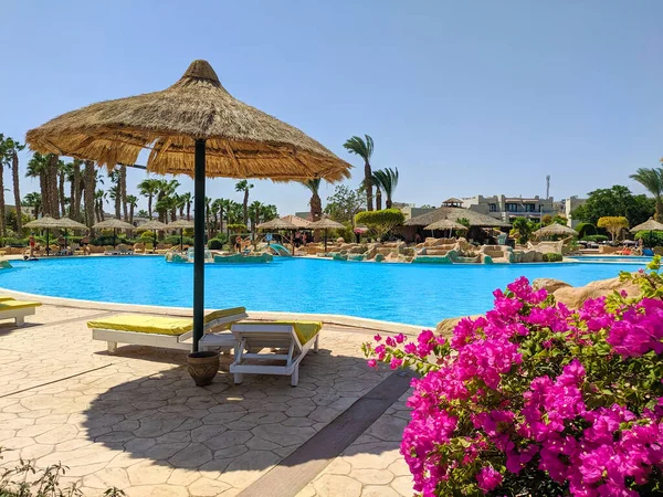 Hurghada Egypte September 2021 Prachtig Uitzicht Het Zwembad Egypte Tegen — Stockfoto