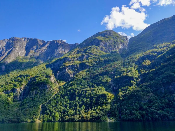 在蓝天的映衬下 美丽的峡湾悬崖峭壁被茂密的森林覆盖着 挪威Hardanger Fjord — 图库照片