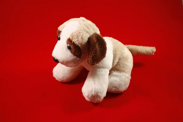 Speelgoed pluche hond van de zijkant träffade een rode achtergrond — Stockfoto