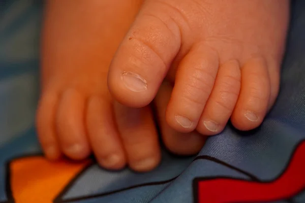 Toes of the feet with the nails of a newborn baby. close up view macro closeup — Stockfoto
