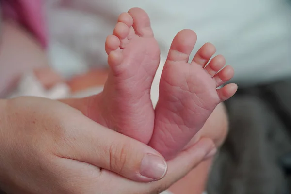Legs with fingers are a newborn baby. Mother holds in the palm of her hand. — Stock Photo, Image