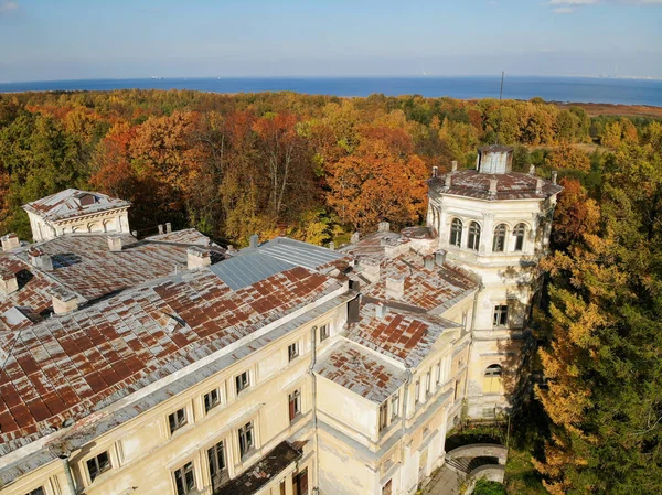 Abandoned manor Mikhailovka estate, palace and park of the 19th century. Aerial 免版税图库照片