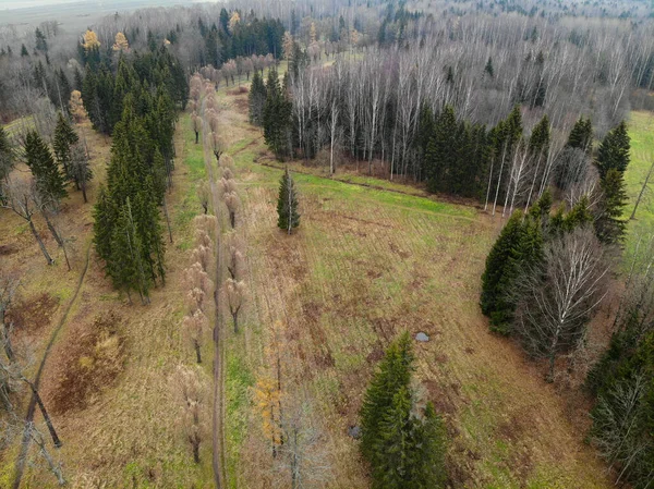 Parque de otoño con hermosos árboles y senderos. Vista aérea del dron. Volando sobre. Imagen de stock