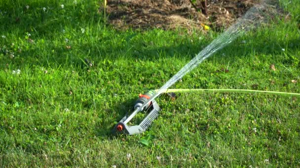 Automatic watering system. grass nature summer — Stockvideo
