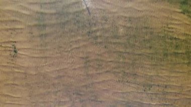 Temiz su ve Finlandiya Körfezi 'nin dibinde. Kum taşları. Göl suyu. Sonbahar renkleri.