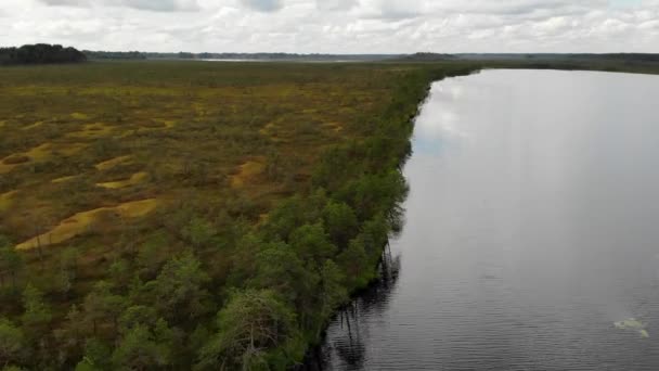 O pântano é multicolorido perto de um lago florestal com água espelhada. Drone aéreo — Vídeo de Stock