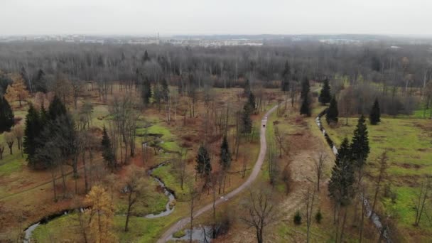 Město Puškin v Babolovském parku. starý podzimní park v blízkosti rybníkových klikatých cest — Stock video