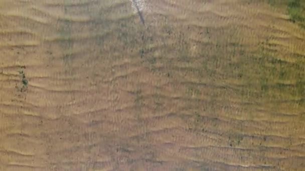Acqua limpida e fondo Golfo di Finlandia. Pietre di sabbia. Mare del lago. Colori d'autunno. — Video Stock