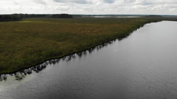 Der Sumpf ist in der Nähe eines Waldsees mit spiegelndem Wasser bunt. Drohne aus der Luft — Stockvideo