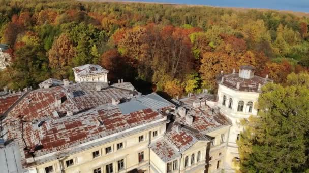 Terk edilmiş malikane Mikhailovka malikanesi, 19. yüzyılın sarayı ve parkı. Havadan — Stok video
