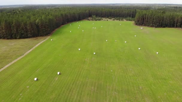 Farmers grren field with hay rolls. Road countryside. Forest. Aerial drone view — Video Stock