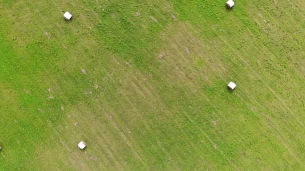 Campo de pastagem de agricultores com rolos de feno. Campo. Vista aérea de drones. Voando sobre — Vídeo de Stock