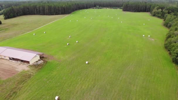 Αγρότες σε χωράφι με άχυρα. Κτίριο αγροκτήματος ύπαιθρο Αεροφωτογραφία drone — Αρχείο Βίντεο