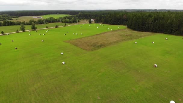 Fermiers champ grren avec des rouleaux de foin. Route campagne. Forest. Vue aérienne du drone — Video