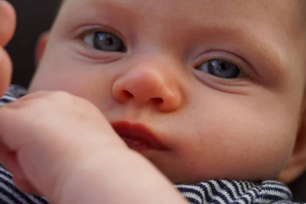 The eyes nose and face of four month old baby child. close up view macro closeup — Fotografia de Stock