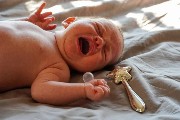 Crying newborn baby child on a bed with an iron silver rattle and a pacifier — Fotografia de Stock