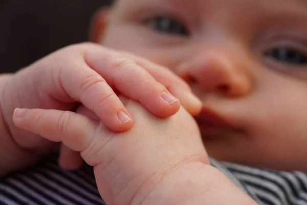 Hands with fingers of four month old baby child. close up view macro closeup 图库图片