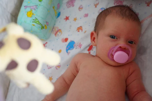 Desnudo bebé caucásico niño con un chupete en su boca relaja acostado su espalda. Fotos de stock libres de derechos