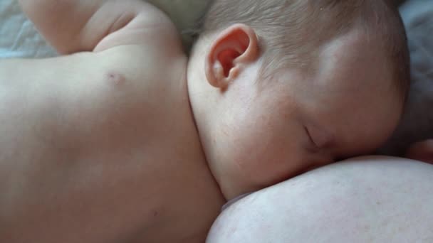 Newborn baby eats milk from mother breast breastfeed through a silicone pad — Stock Video