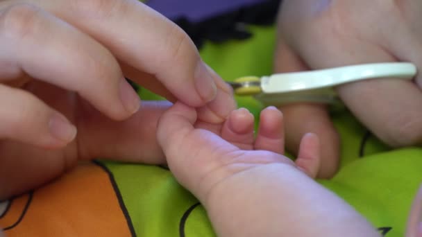Ένα νεογέννητο παιδί έκοψε καρφιά στο χέρι με ένα μικρό ψαλίδι. μανικιούρ φροντίδας μωρού — Αρχείο Βίντεο
