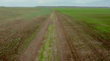 Kıştan önce ekilen yeni tarlaların arasında uçuyorum.