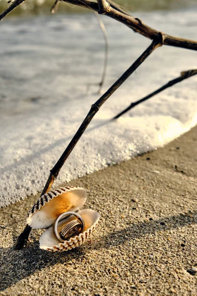 A loving marriage proposal near the sea