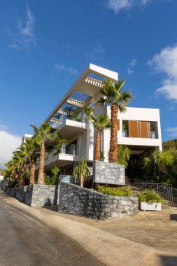 Palmiye ağaçları ile güzel otel