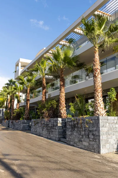 Palmiye ağaçları ile güzel otel