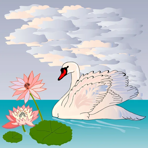 Cygne gracieux et gracieux — Image vectorielle