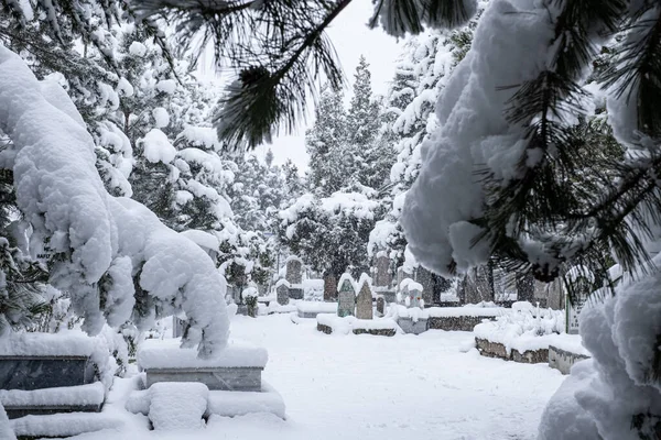 Mysterious Texture Cemeteries Winter Scenery Snowfall — Stockfoto
