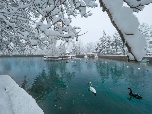 Winterlandschaften Und Herrliche Natur Kugulu Nationalpark — Stockfoto