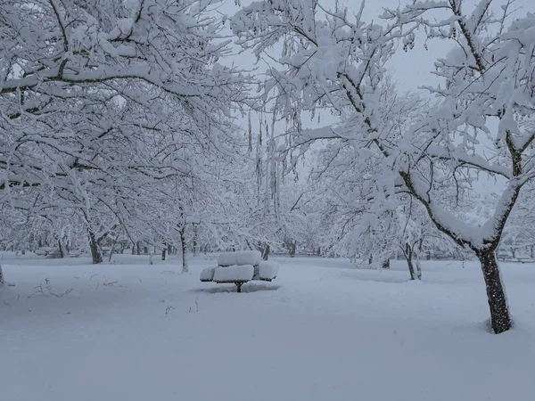 Winterlandschaften Und Herrliche Natur Der Nationalparkregion — Stockfoto